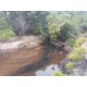 Fazenda a venda sp Ribeirao Preto pecuaria lavoura cafe soja cana Empreendimento 42 alqueires