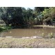 Chacara a venda sp Ribeirao Preto Cassia dos Coqueiros com casa 4.000m2