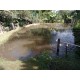 Chacara a venda sp Ribeirao Preto Cassia dos Coqueiros com casa 4.000m2
