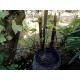 Chacara a venda sp Ribeirao Preto Cassia dos Coqueiros com casa 4.000m2
