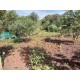 Chacara a venda sp Ribeirao Preto Cassia dos Coqueiros com casa 4.000m2