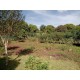 Chacara a venda sp Ribeirao Preto Cassia dos Coqueiros com casa 4.000m2