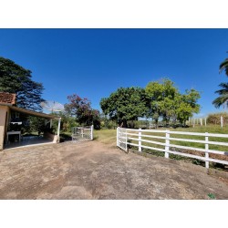 Sitio a venda sp Ribeirao Preto Cajuru cana pecuaria cafe soja lavoura 8.5 alqueires
