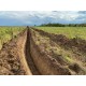 Fazenda a venda Parana pr Regiao Umuarama lavoura soja arroz pecuaria irrigada 720 ha