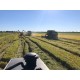 Fazenda a venda Parana pr Regiao Umuarama lavoura soja arroz pecuaria irrigada 720 ha