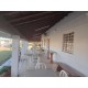 Fazenda a venda sp cana cafe eucalipto pecuaria Regiao Ribeirao Preto 30 ALQ