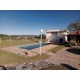 Fazenda a venda sp cana cafe eucalipto pecuaria Regiao Ribeirao Preto 30 ALQ