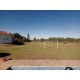 Fazenda a venda sp cana cafe eucalipto pecuaria Regiao Ribeirao Preto 30 ALQ