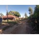 Fazenda a venda sp cana cafe eucalipto pecuaria Regiao Ribeirao Preto 30 ALQ