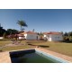 Fazenda a venda sp cana cafe eucalipto pecuaria Regiao Ribeirao Preto 30 ALQ