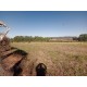 Fazenda a venda sp cana cafe eucalipto pecuaria Regiao Ribeirao Preto 30 ALQ