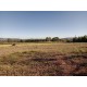 Fazenda a venda sp cana cafe eucalipto pecuaria Regiao Ribeirao Preto 30 ALQ