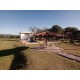 Fazenda a venda sp eucalipto cafe cana pecuaria regiao Ribeirao Preto 27.3 alqueires