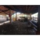 Fazenda a venda sp eucalipto cafe cana pecuaria regiao Ribeirao Preto 27.3 alqueires