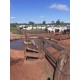 Fazenda a venda sp lavoura dupla aptidão Nova Andradina 3.630 ha