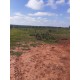 Fazenda a venda sp lavoura dupla aptidão Nova Andradina 3.630 ha