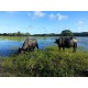 Agronegocios a venda pr Fazenda Empresa laticinio ativo SP Parana