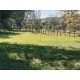 Sitio Regiao Ribeirao Preto arrendamento com casa