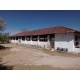 Sitio a venda sp Ribeirao Preto pecuaria lavoura pousada 5 alqueires