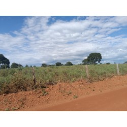 Fazenda a venda TO Reegiao Paraiso do Tocantins Pecuaria lavoura