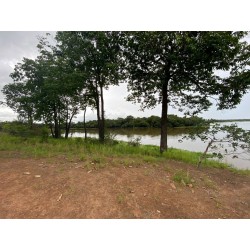 Sitio a venda am Amazonas Urucara frente ao Rio 30.4 ha