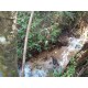 Sitio a venda sp Ribeirao Preto Santo Antonio da Alegria 25 alqueires