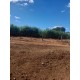 Sitio a venda mg Sul de Minas Arceburgo lavoura pecuaria 10 alqueires