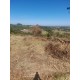 Sitio a venda mg Sul de Minas Arceburgo lavoura pecuaria 10 alqueires