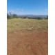 Sitio a venda mg Sul de Minas Arceburgo lavoura pecuaria 10 alqueires