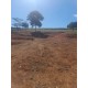 Sitio a venda mg Sul de Minas Arceburgo lavoura pecuaria 10 alqueires