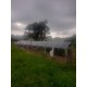 Sitio a venda mg Sul de Minas montado Regiao Paraiso 7 alqueires