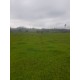 Sitio a venda mg Sul de Minas montado Regiao Paraiso 7 alqueires