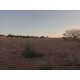 Sitio a venda mg Sul de Minas Regiao Paraizo lavoura 6 alqueires