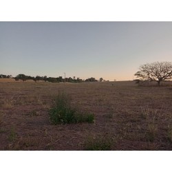 Sitio a venda mg Sul de Minas Regiao Paraizo lavoura 6 alqueires