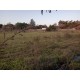 Sitio a venda mg Sul de Minas Regiao Paraizo lavoura 6 alqueires