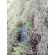 Sitio a venda mg Sul de Minas Regiao Paraizo lavoura 6 alqueires