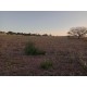 Sitio a venda mg Sul de Minas Regiao Paraizo lavoura 6 alqueires