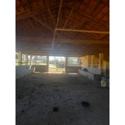 Sitio a venda mg cafe sul de MInas Regiao Paraiso 5 alqueires