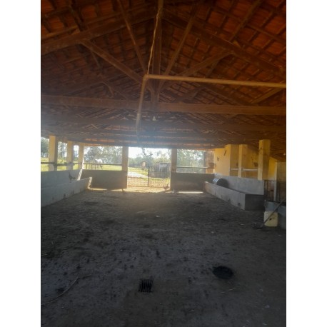 Sitio a venda mg cafe sul de MInas Regiao Paraiso 5 alqueires