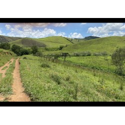Fazenda a venda mg regiao Juiz de Fora Lima Duarte 228 ha
