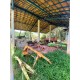 Fazenda a venda mg regiao Juiz de Fora Lima Duarte 228 ha