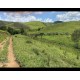 Fazenda a venda mg regiao Juiz de Fora Lima Duarte 228 ha