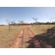 Sitio a venda sp permuta troca Ribeirao Preto Casa sede alto padrao 4.5 alqueires