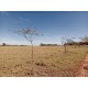 Sitio a venda sp permuta troca Ribeirao Preto Casa sede alto padrao 4.5 alqueires