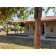 Sitio a venda sp permuta troca Ribeirao Preto Casa sede alto padrao 4.5 alqueires
