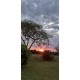 Sitio a venda sp permuta troca Ribeirao Preto Casa sede alto padrao 4.5 alqueires