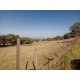 Sitio a venda sp aceita permuta troca Ribeirao Preto 3 hectares