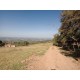 Sitio a venda sp aceita permuta troca Ribeirao Preto 3 hectares