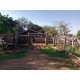 Sitio a venda sp aceita permuta troca Ribeirao Preto 3 hectares