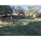 Sitio a venda sp aceita permuta troca Ribeirao Preto 3 hectares
